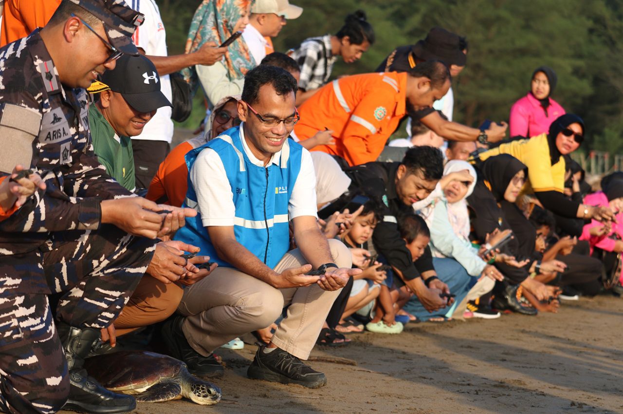 PLN NP terus menjaga harmoni alam dan energi dengan melepas 150 tukik dan penyu dewasa di Pantai Pancer Door Pacitan. (Foto: PLN NP for jatimkini.com)