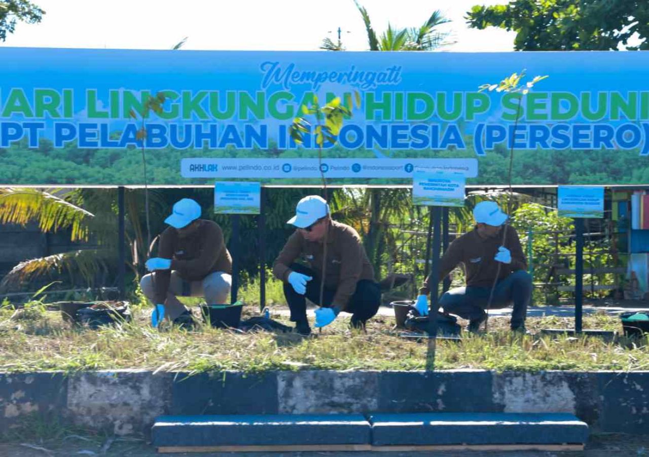 Pelindo Regional 3 Sub Regional Kalimantan menanam 5.000 pohon mahoni dalam mendukung lingkungan pelabuhan keberlanjutan sekaligus menyambut hari Lingkungan Hidup Internasional. (Foto: Pelindo for jatimkini.com)