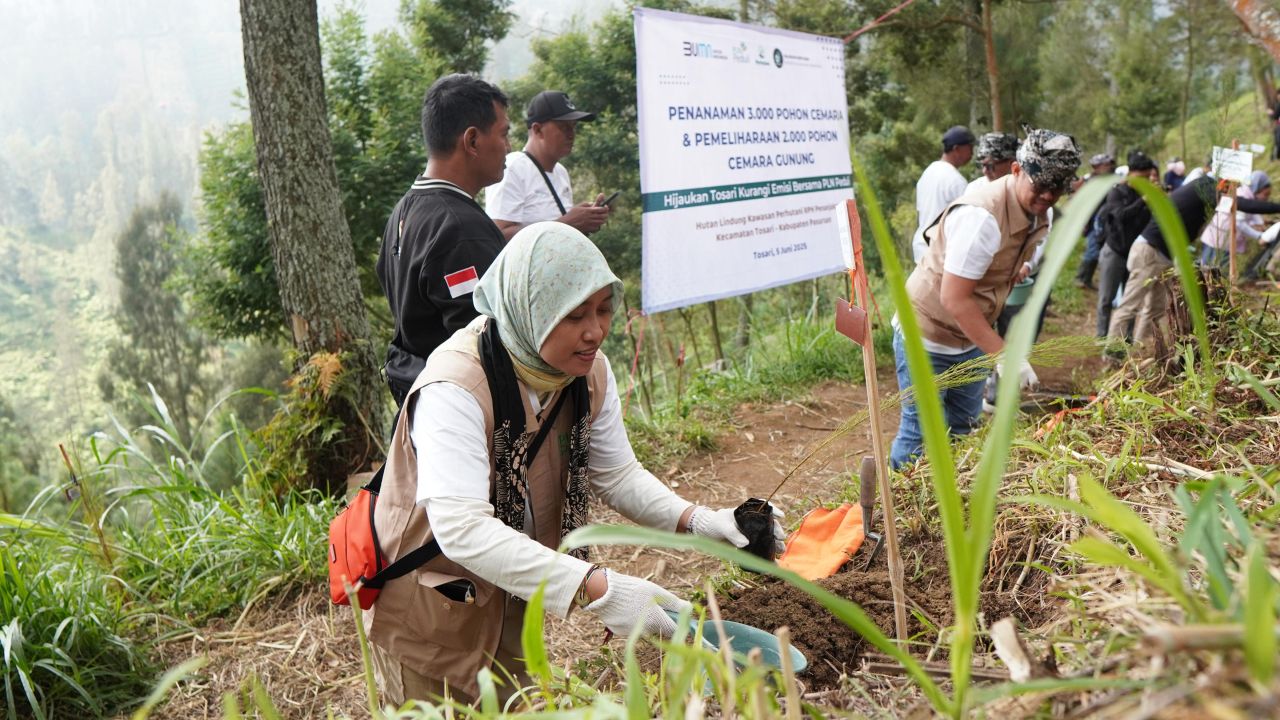 PT PLN (Persero) Unit Induk Distribusi (UID) Jawa Timur menggelar aksi tanam pohon di kawasan strategis Taman Nasional Bromo Tengger Semeru (TNBTS) Desa Tosari, Kecamatan Tosari, Kabupaten Pasuruan, Kamis (5/7).