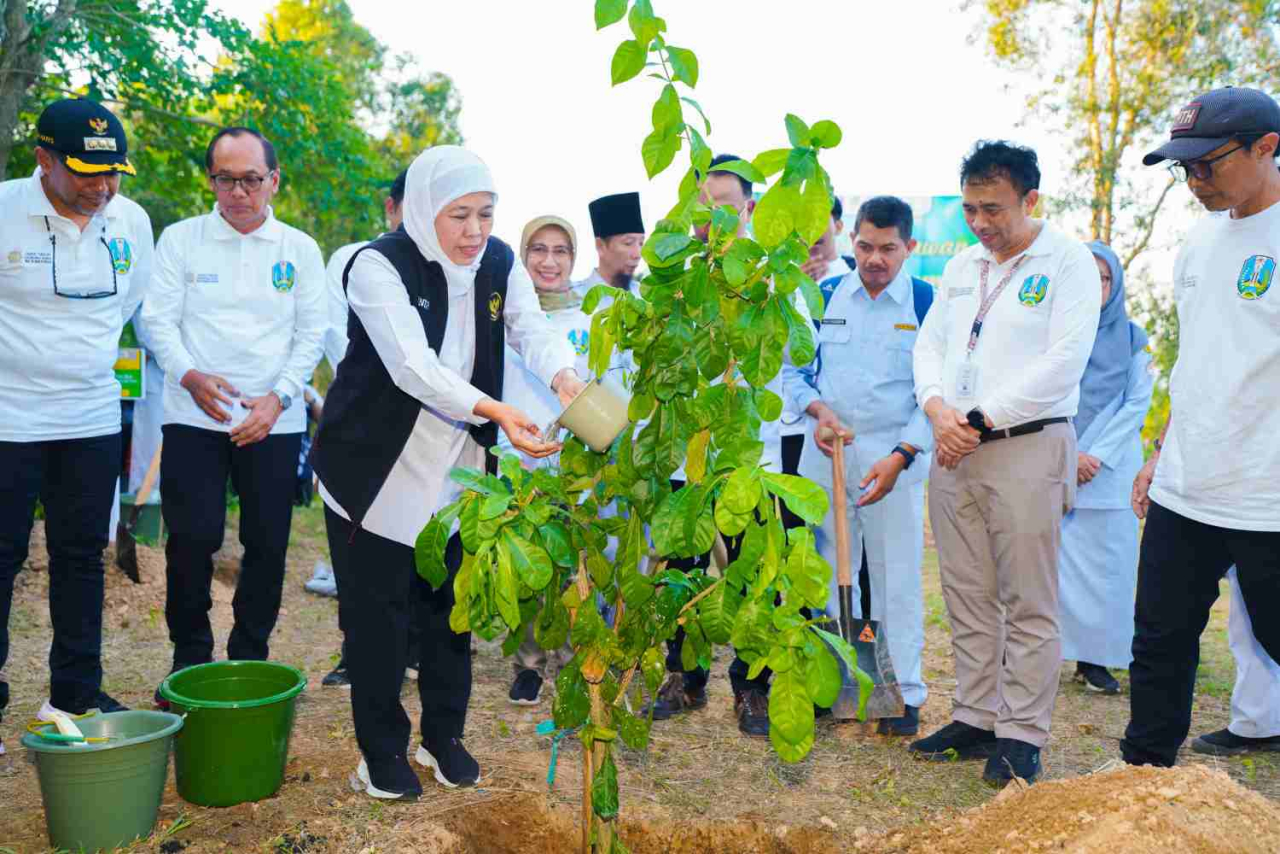 Gubernur Jatim Khofifah Indar Parawansa saat melakukan penanaman pohon dalam rangka Rehabilitasi Hutan dan Lahan (RHL). Foto : Pemprov Jatim