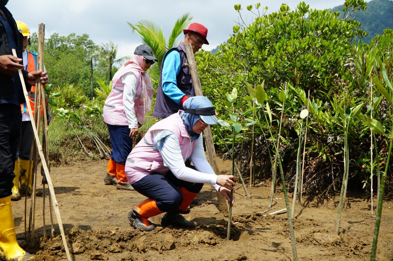 Srikandi PLN lakukan penanaman dan adopsi mangrove di kawasan Pancer Cengkrong, Kecamatan Watulimo, Kabupaten Trenggalek.