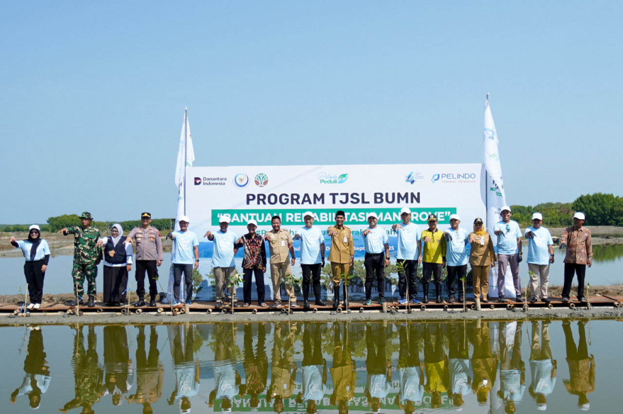Kegiatan penanaman mangrove oleh Pelindo Terminal Petikemas. Foto : SPTP