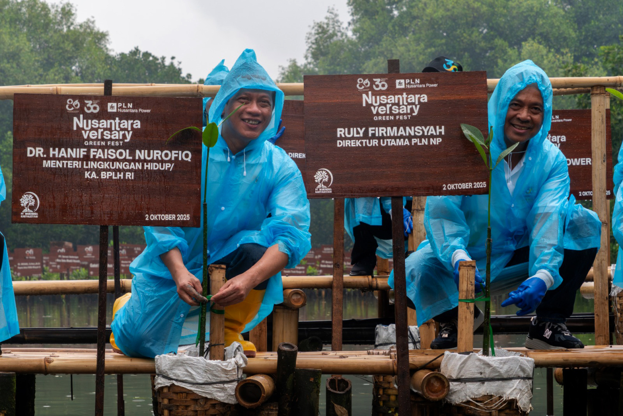 Sedikitnya 165 ribu mangrove ditanam PLN NP dalam program  Nusantaraversary Green Fest di sela ultah ke-30 tahun. (Foto: dok.PLN Nusantara Power).