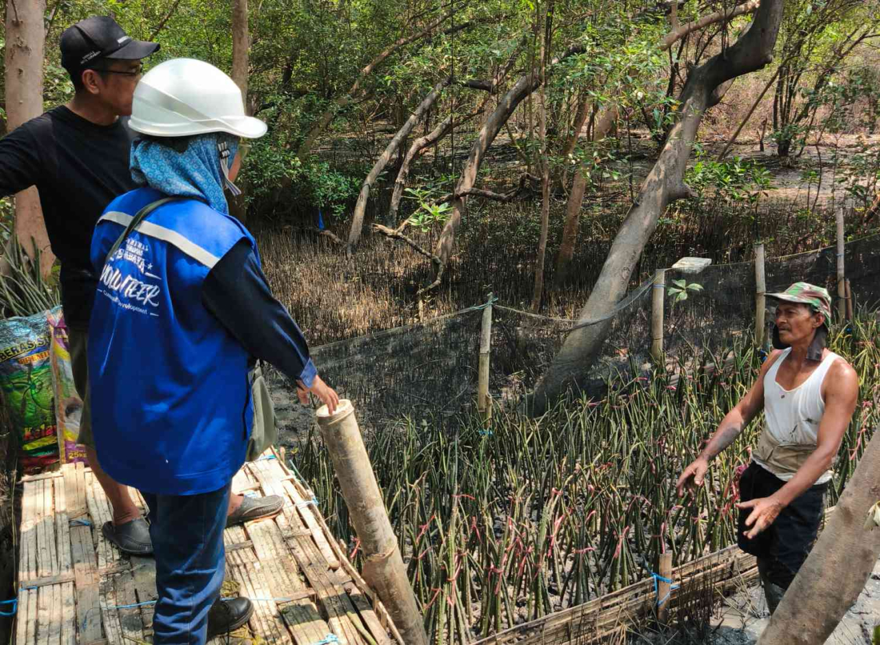 TPS memperkuat komitmen terhadap implementasi ESG dengan memperbanyak tanaman mangrove di sekitar pesisir pantai Surabaya. (foto: dok.TPS)