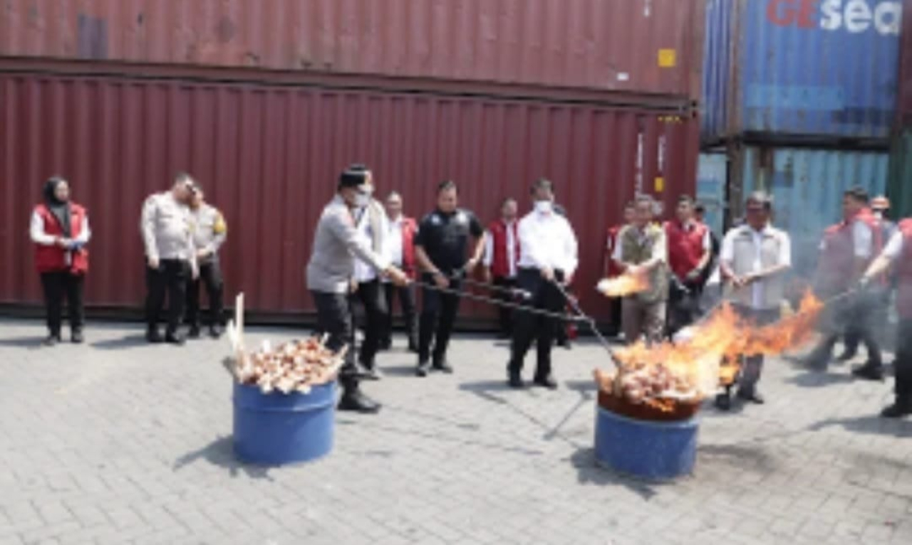 Pemusnahan bawang bombay ilegal dari Belanda yang diamankan Polres Tanjung Perak. (Foto : Dok : Humas Polda Jatim)