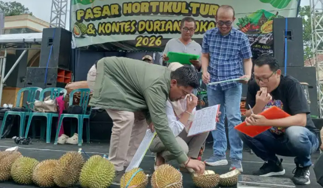 Direktur Utama Bank UMKM Jatim, Irwan Eka Wijaya Arsyad S.T., MM (kemeja kotak) saat menjadi juri Kontes Durian  di Kabupaten Blitar, Minggu (25/1/2026).