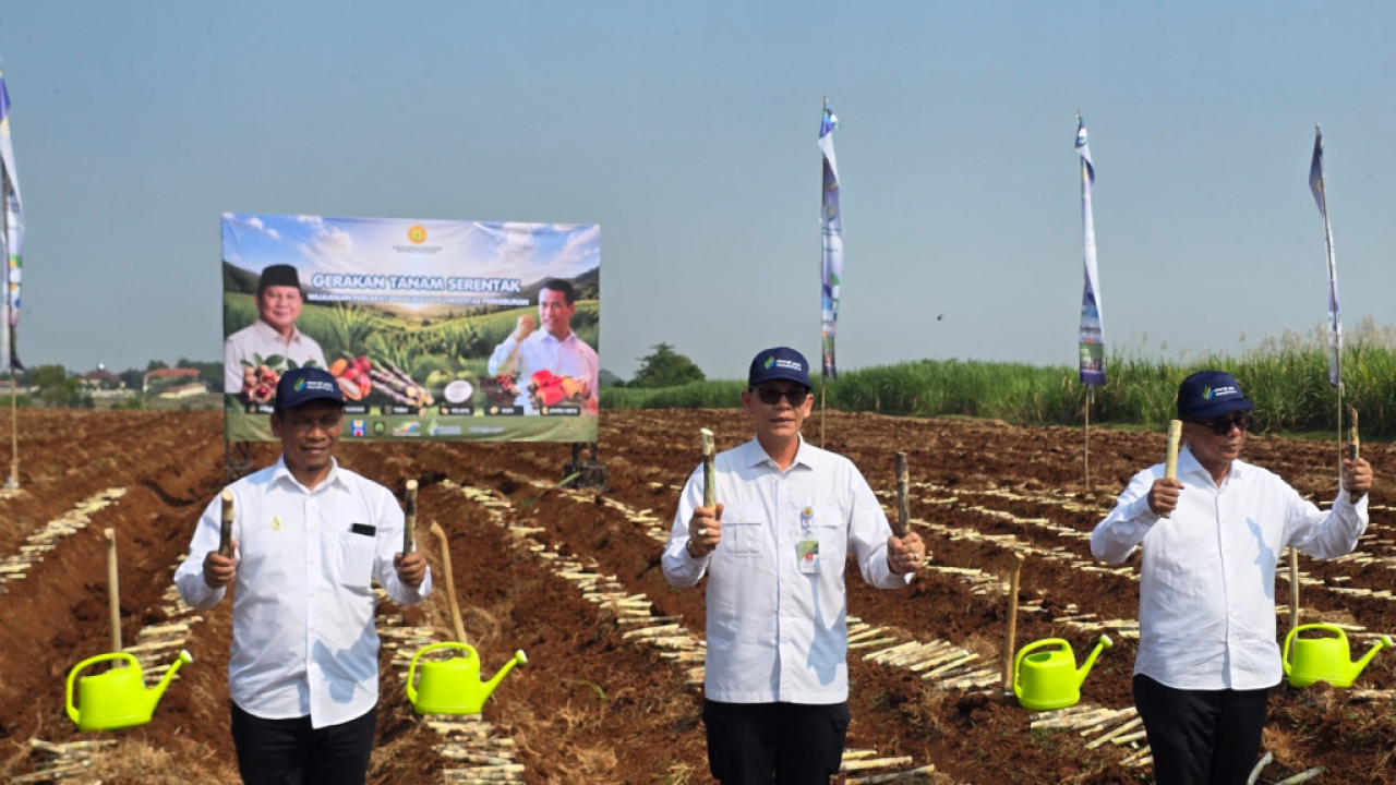 Dukung Hilirisasi Perkebunan Nasional, SGN Laksanakan Gerakan Tanam Serentak