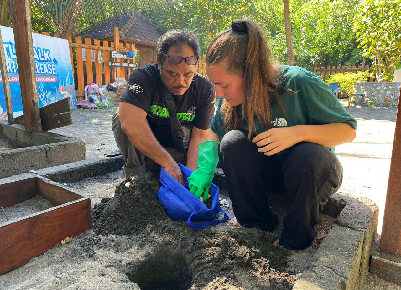 Jaga Habitat Tukik, PLN NP Lestarikan Kawasan Pesisir Selatan Jawa