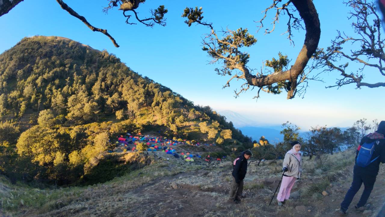 Camp area Lembah Lengkehan tampak dari atas. Foto : Peni Widarti