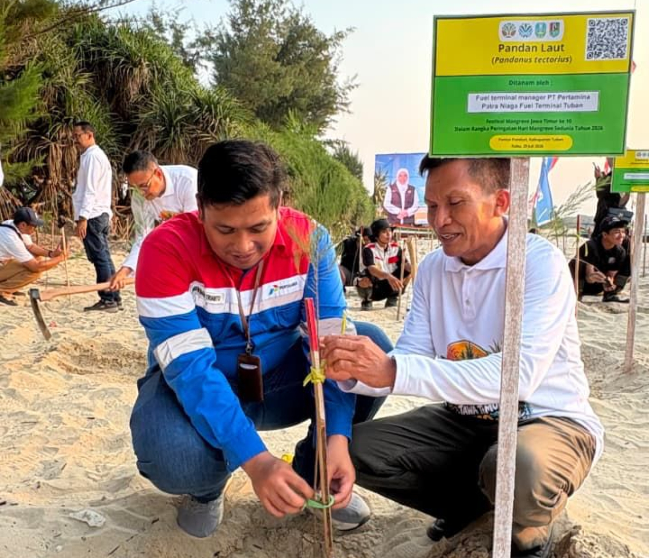 Peringati Hari Mangrove Sedunia, Pertamina Patra Niaga Dukung Festival Mangrove Jatim di Pantai Panduri Tuban