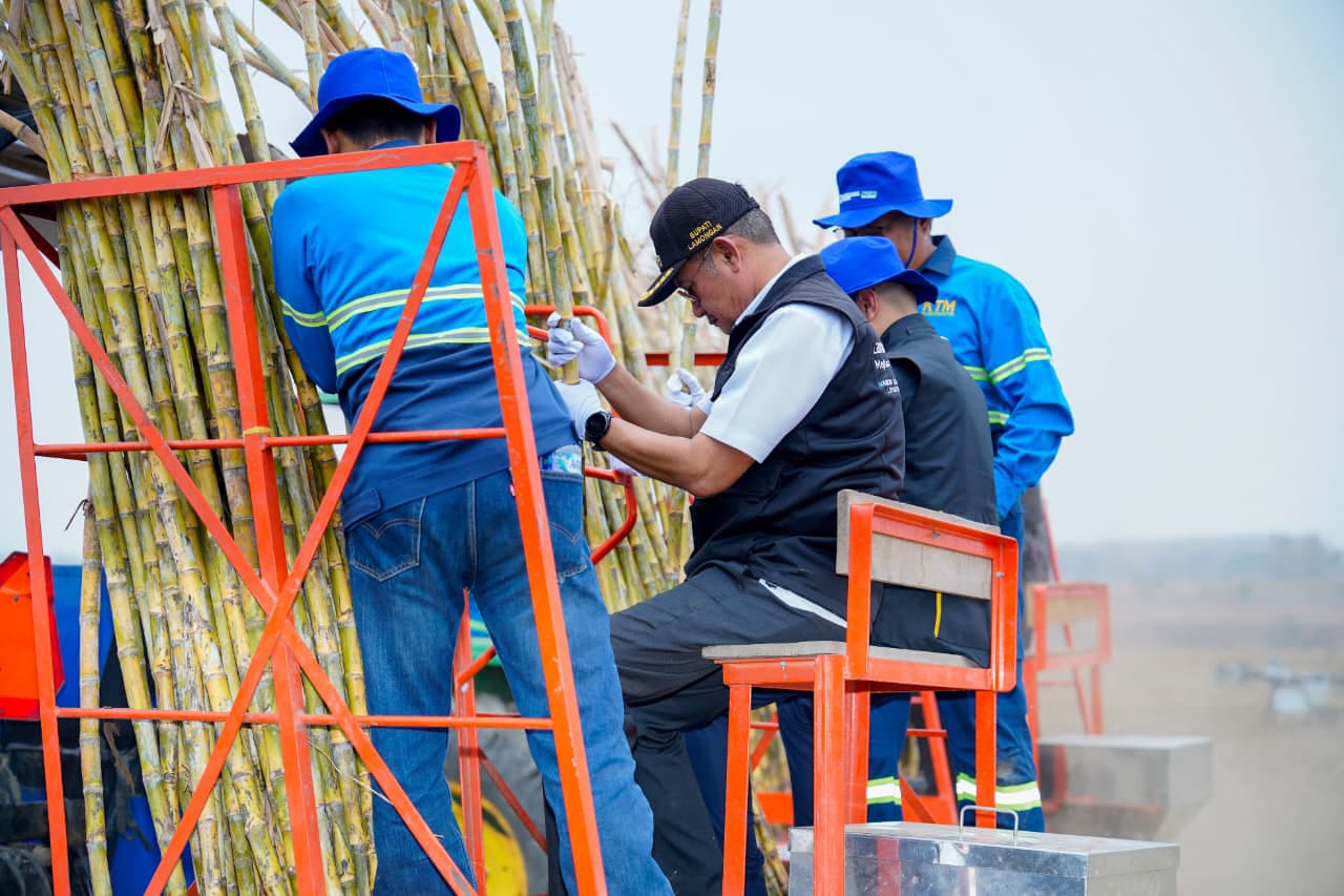 Tebu Lamongan Kian Produktif, Bupati Lamongan Dorong Swasembada Gula