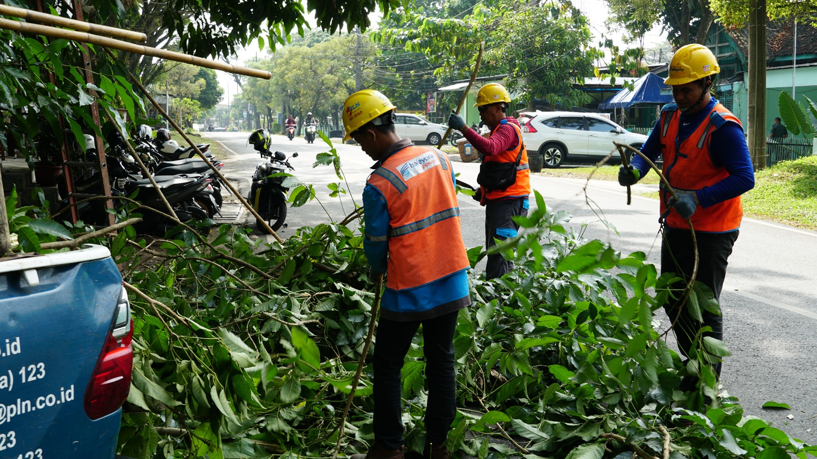 Rabas dan Tebang Pohon Dekat Jaringan Listrik, Efektif Turunkan Gangguan di Malang Raya