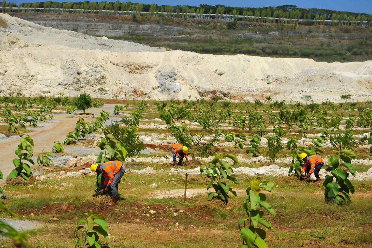 SIG Revegetasi Lahan Pascatambang di Tuban dengan Tanam 503.466 Pohon