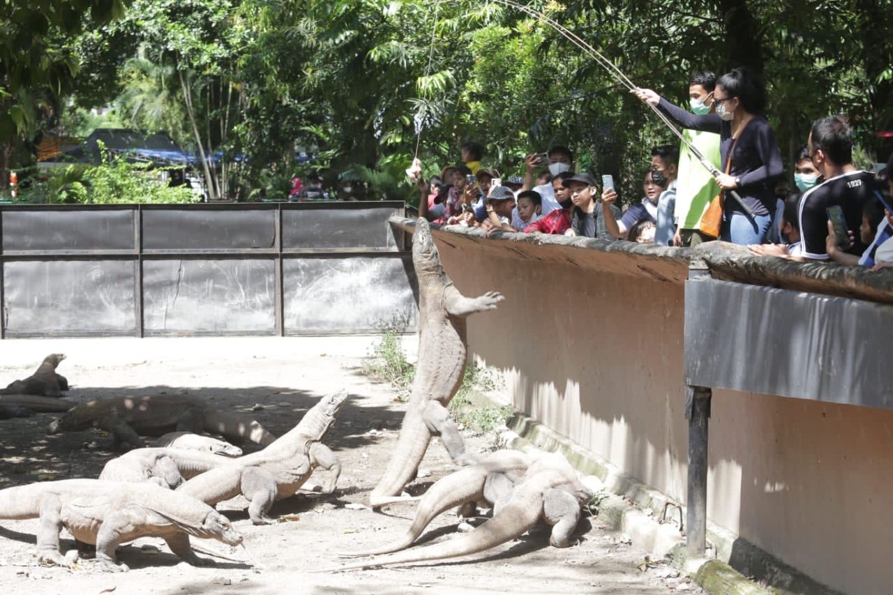 Liburan Lebaran di Kebun Binatang Surabaya? Pahami Aturannya!