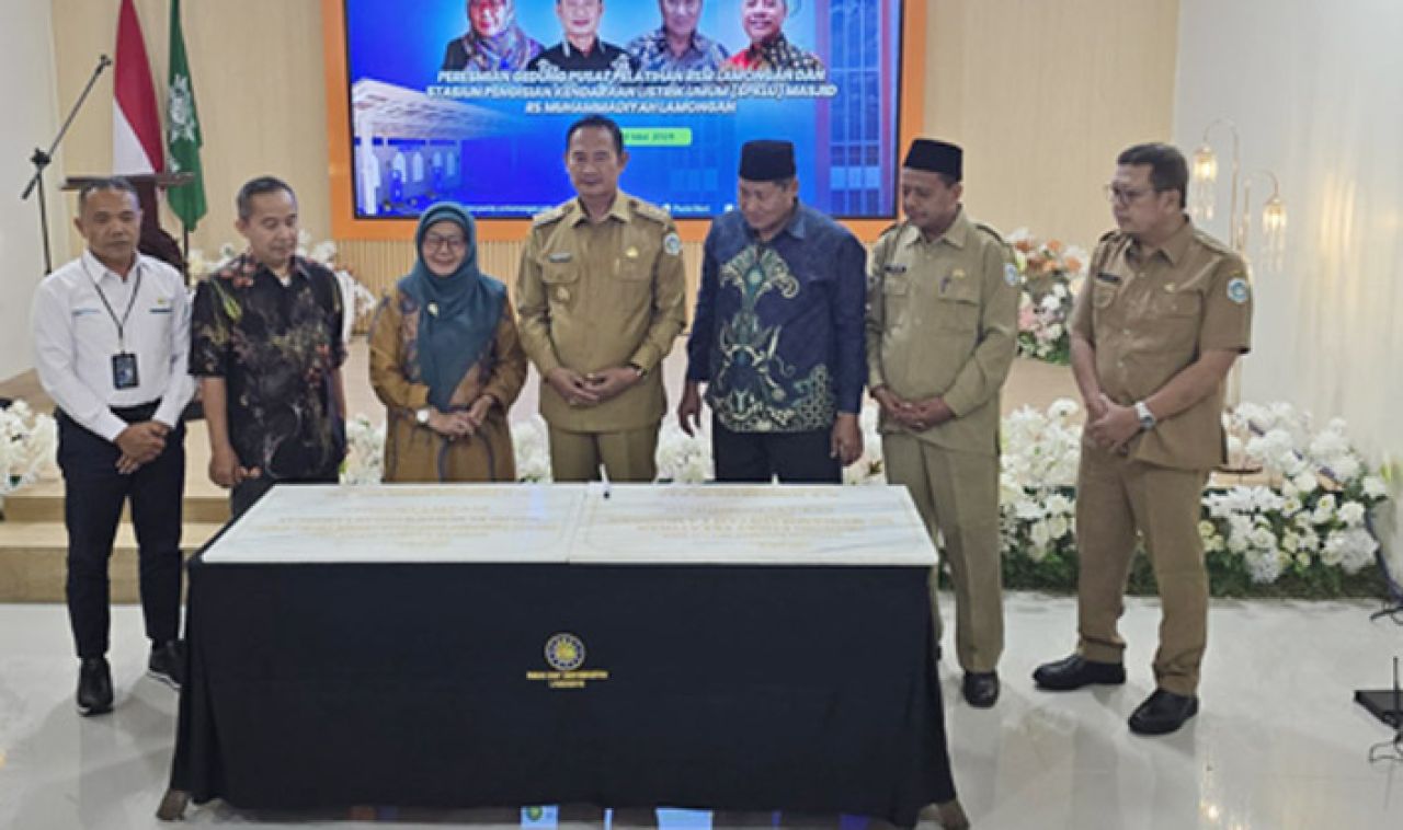 PLN dan RSM Lamongan Resmikan SPKLU, Dukung Ekosistem Kendaraan Listrik di Jawa Timur