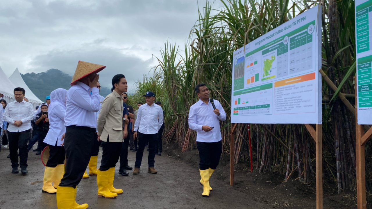 Swasembada Gula : Wapres Gibran Pastikan Pemerintah Beri Dukungan Petani Tebu
